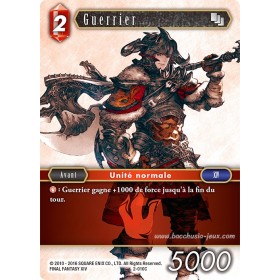 Carte FF02 Guerrier 2-010C