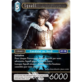 Carte FF02 Squall 2-038H
