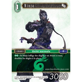 Carte FF02 Ninja 2-061C