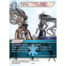 Shiva 4-033C