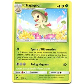 Chapignon SL3.5 05/73
