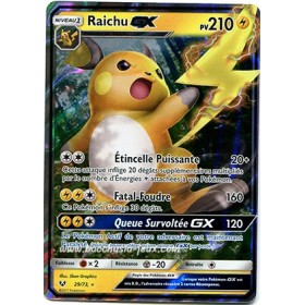 Raichu GX SL3.5 29/73