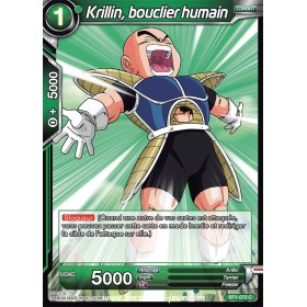 Krillin, bouclier humain...
