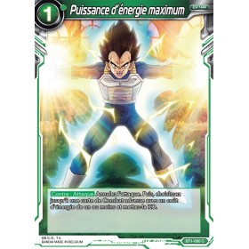 Puissance d'energie maximum BT1-080 C