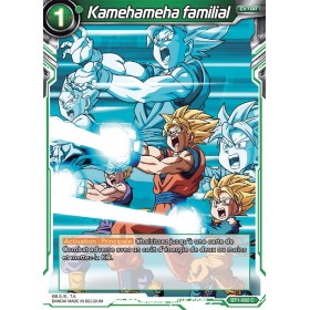 Kamehameha familial BT1-082 C