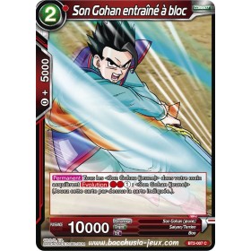 Son Gohan entraine a bloc BT2-007 C