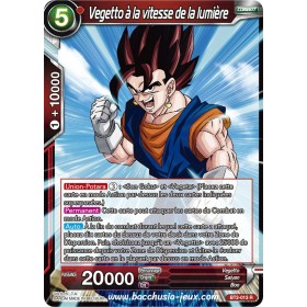 Vegetto a la vitesse de la lumiere BT2-013 R