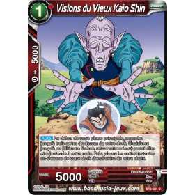 Vision du Vieux Kaio Shin BT2-021 C
