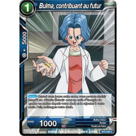 Bulma, contribuant au futur...