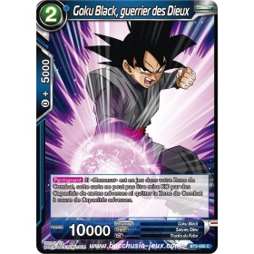 Goku Black, guerrier des...