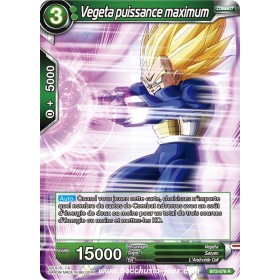 Vegeta puissance maximum...