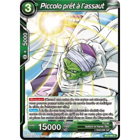 Piccolo pret a l'assaut...