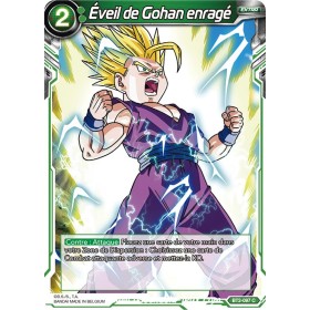 Eveil de Gohan enrage BT2-097 C