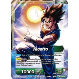 Vegetto SSB, confrontation pleine puissance BT3-055 R