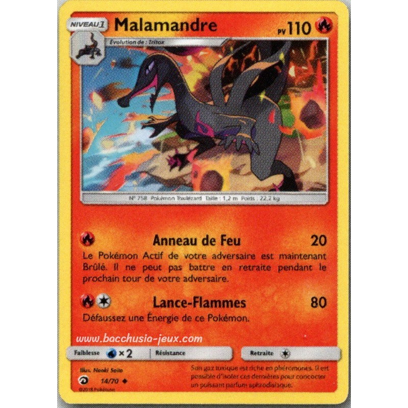 Malamandre Reverse SL7.5 14/70 (Pokemon)