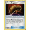 Serre de Dragon SL7.5 59/70 (Pokemon)