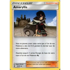 Amaryllis SL7.5 64/70