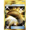 Serre de Dragon Secrete SL7.5 75/70 (Pokemon)