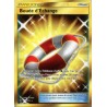 Bouee d'echange Secrete SL7.5 77/70 (Pokemon)