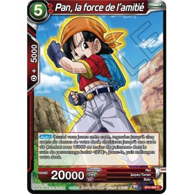 BT4-009 C Pan, la force de l'amitié