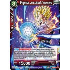 BT4-010 UC Vegeta, acculant...