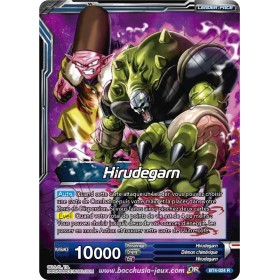 BT4-024 R Hirudegarn et...