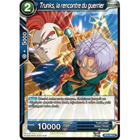 BT4-033 C Trunks, la...