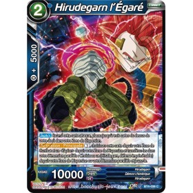 BT4-038 C Hirudegarn l'Égaré