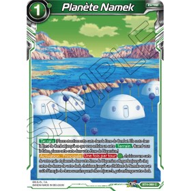 BT4-069 C Planète Namek...