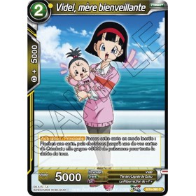 BT4-090 C Videl, mère...