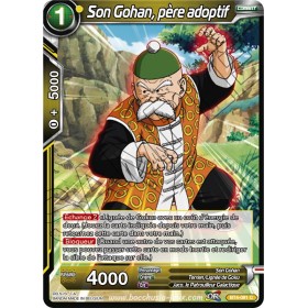 BT4-091 C Son Gohan, père...