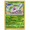 Carte Pokemon SL1 19/149 Candine Reverse