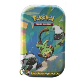 Pokemon Mini Tin Collection Galar - Ouistempo et Moumouton