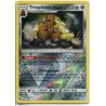 Carte Pokemon SL1 87/149 Triopikeur d'Alola Holo reverse