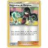 Carte Pokemon SL11.5 65/68 Suggestion de Morgane