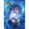 Protège carte Final Fantasy X Tidus & Yuna x60