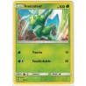 Carte Pokemon SL11.5 5/68 Insecateur