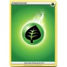 10 Cartes Pokémon Energie Plante série 3