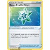 Carte Pokémon EB07 159/203 Badge Feuille Neige