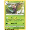 Carte Pokémon EB11 010/196 Papinox RARE