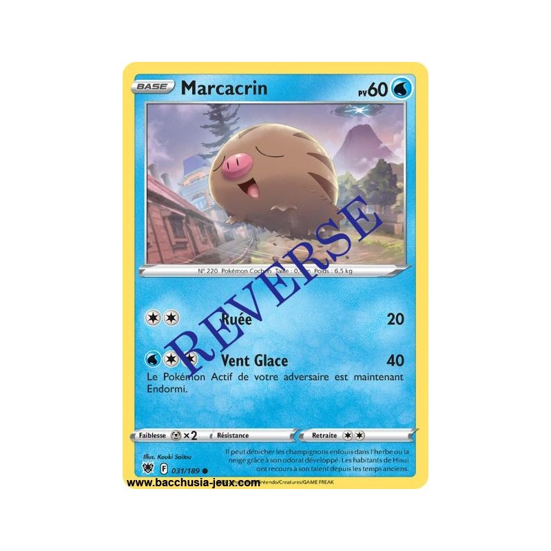 Carte Pokémon EB10 031/189 Marcacrin Reverse