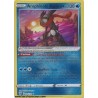 Carte Pokémon EB10 046/189 Amphinobi Radieux