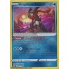 Carte Pokémon EB10 046/189 Amphinobi Radieux