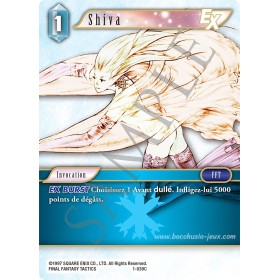 Carte FF01 Shiva 1-039C