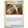 Carte Pokémon EB10 145/189 Piolet courageux