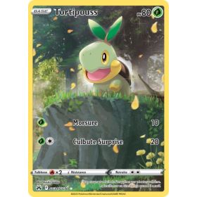 Carte Pokémon EB12.5 GG31/GG70 Tortipouss