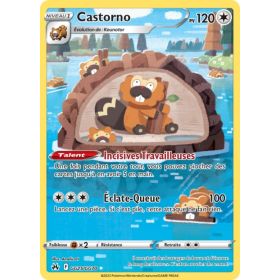 Carte Pokémon EB12.5 GG25/GG70 Castorno