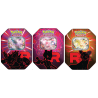 Pokémon Lot de 3 Pokebox Team Rocket